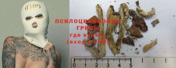 прущий лед Арсеньев