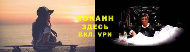 бошки Аркадак