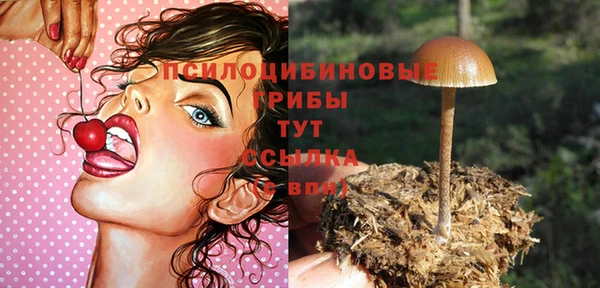прущий лед Арсеньев