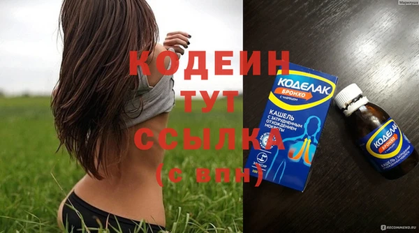 прущий лед Арсеньев