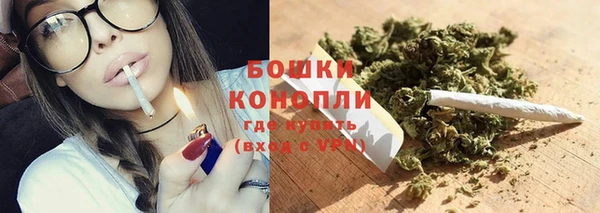 прущий лед Арсеньев