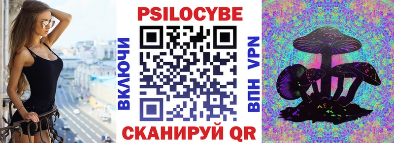 Псилоцибиновые грибы GOLDEN TEACHER  купить закладку  Малоярославец 