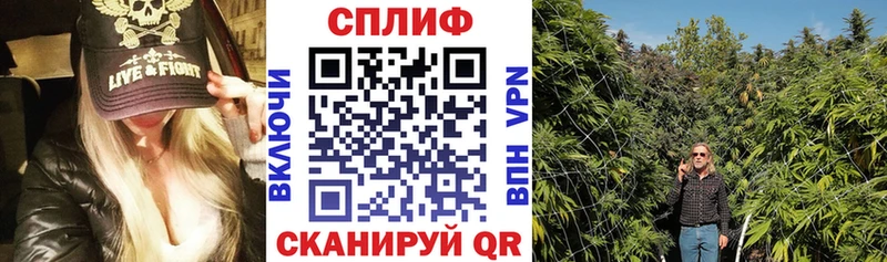 Бошки Шишки SATIVA & INDICA  Малоярославец 